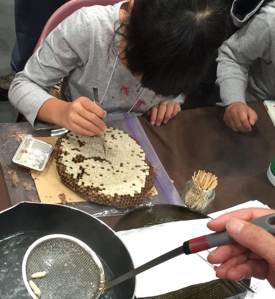 科学茶房 企画展むしカフェ「むしを食べる!? どんな味? 国連おススメ? 美味しいむしを科学する」