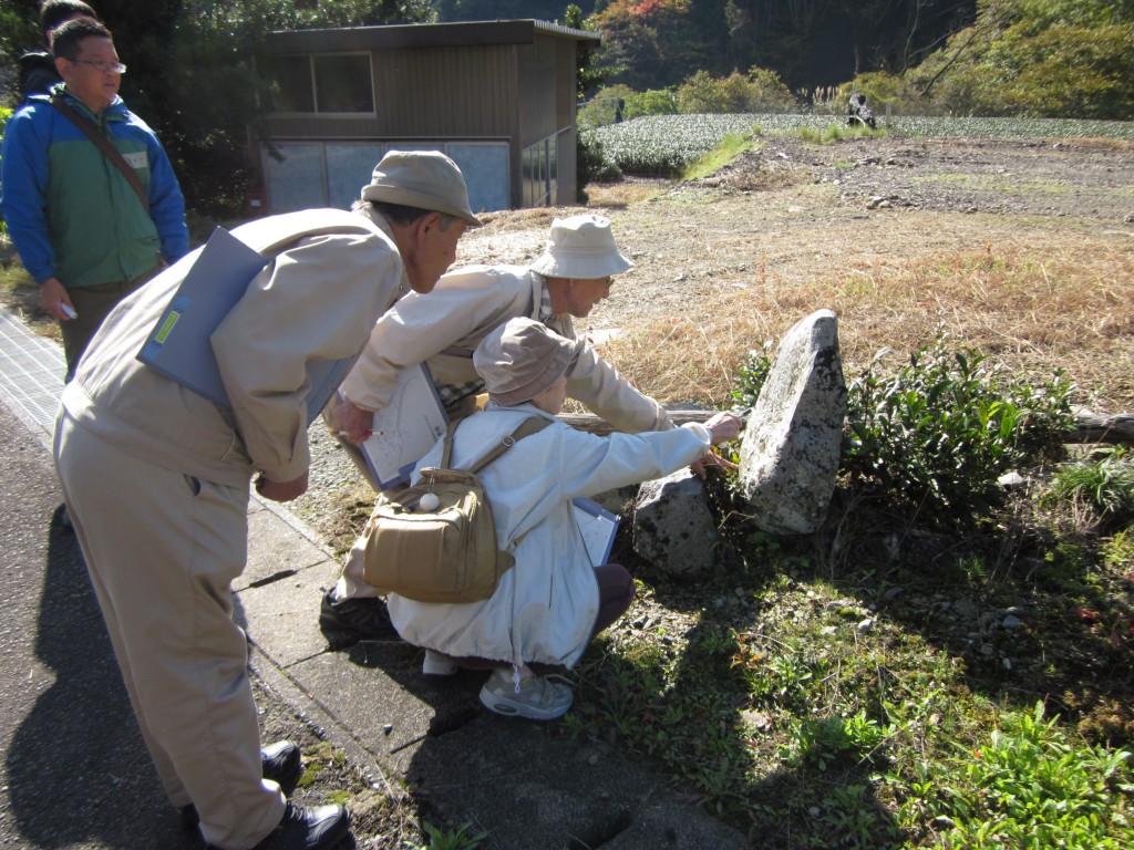 わらしなステキを歩いてつなぐてくてくマッププロジェクト